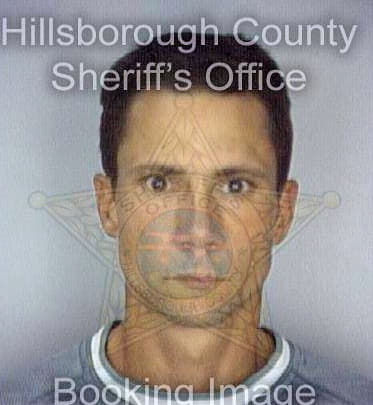 Fitzhenry Richard - Hillsborough County, FL 