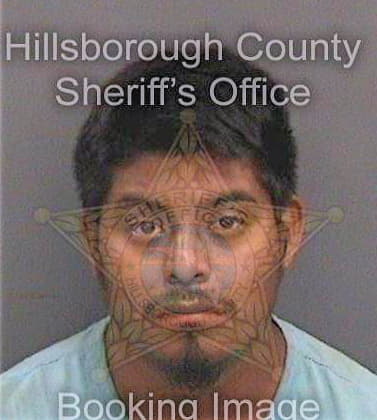 Araperez Luis - Hillsborough County, FL 