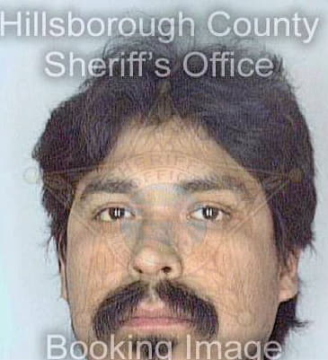 Soto Humberto - Hillsborough County, FL 