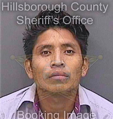 Lopezcollazo Ciro - Hillsborough County, FL 