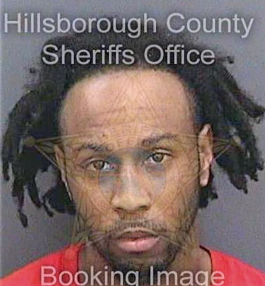 Sims Mario - Hillsborough County, FL 