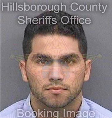 Diazvillavicencio Roberto - Hillsborough County, FL 