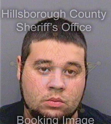 Shannon Thomas - Hillsborough County, FL 