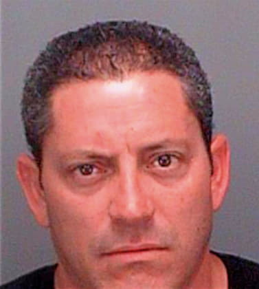 Rodriguezhernandez Honay - Pinellas County, FL 