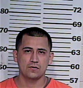 Garcia Luis - Hidalgo County, TX 