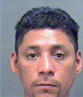 Terrones Rodrigo - Mecklenburg County, NC 