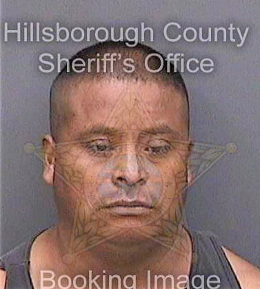 Gomezhernandez Juan - Hillsborough County, FL 