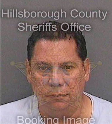 Mejia Gabriel - Hillsborough County, FL 