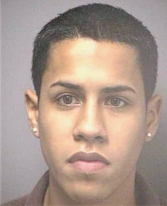 Navarro David - Hillsborough County, FL 