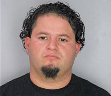 Meza David - Hillsborough County, FL 
