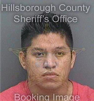 Olguin Sergio - Hillsborough County, FL 