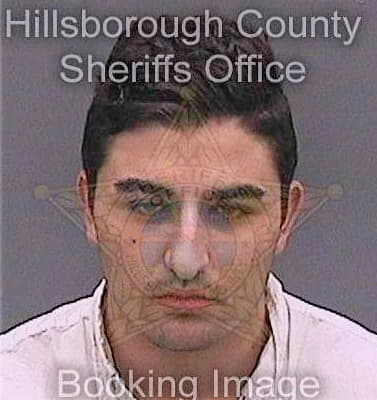 Pavlik David - Hillsborough County, FL 