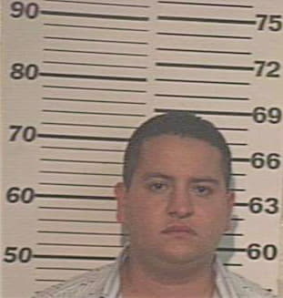 Ceballos Efrain - Hidalgo County, TX 