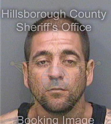 Martinfidalgo Yovani - Hillsborough County, FL 