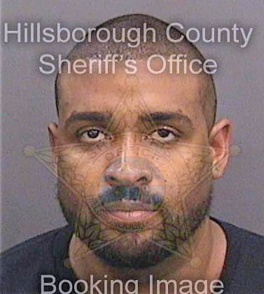 Fulks Darryl - Hillsborough County, FL 