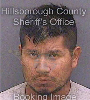 Mateo Julio - Hillsborough County, FL 