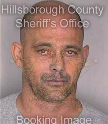 Gonzalez Benito - Hillsborough County, FL 