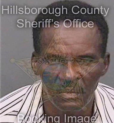 Desir Julien - Hillsborough County, FL 