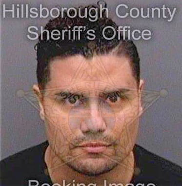 Santiago Elvin - Hillsborough County, FL 