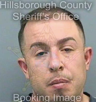 Gonzalez Andres - Hillsborough County, FL 