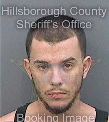 Huckle Anthony - Hillsborough County, FL 