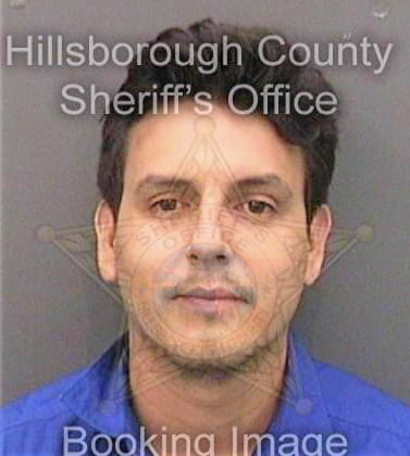 Martinez Carlos - Hillsborough County, FL 