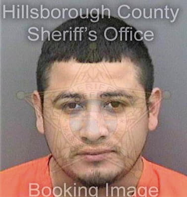 Castro Daniel - Hillsborough County, FL 