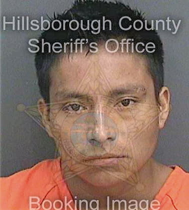 Gomezgomez Alejandro - Hillsborough County, FL 