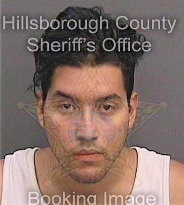 Marquez Joe - Hillsborough County, FL 