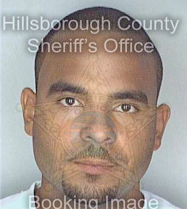 Deleon Jesus - Hillsborough County, FL 