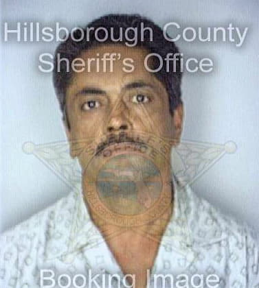 Medina Cesar - Hillsborough County, FL 