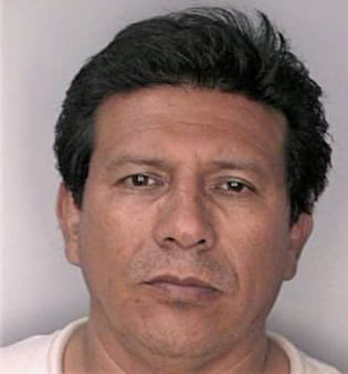 Navasprieto Jose - Hillsborough County, FL 