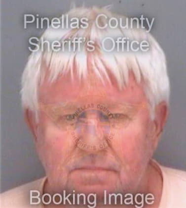 Downey Michael - Pinellas County, FL 