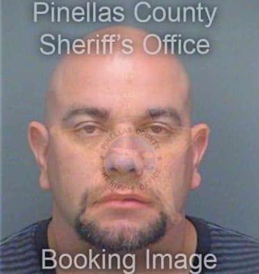 Wilkins John - Pinellas County, FL 