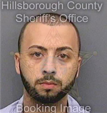 Berjawi Mahmoud - Hillsborough County, FL 