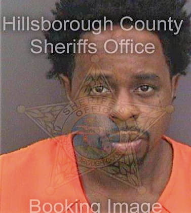 Heflin Norvis - Hillsborough County, FL 