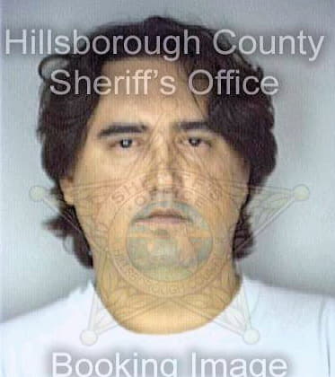 Martin Daniel - Hillsborough County, FL 