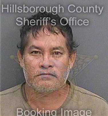 Marianodamian Navor - Hillsborough County, FL 