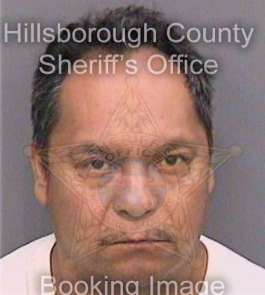 Martinezvilleda Alfonso - Hillsborough County, FL 