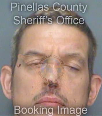 Peterson Ryan - Pinellas County, FL 