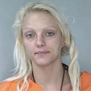 Mcgee Alanna - Hillsborough County, FL 