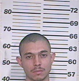 Gonzalez Jesus - Hidalgo County, TX 