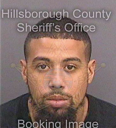 Douglas Bryant - Hillsborough County, FL 