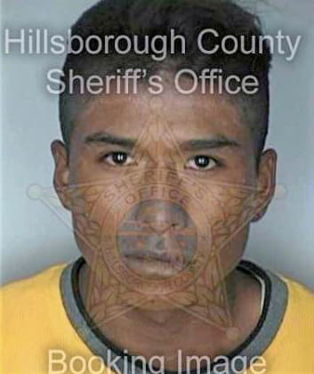 Gonzalez Alfonso - Hillsborough County, FL 