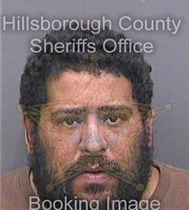 Paredes Jose - Hillsborough County, FL 