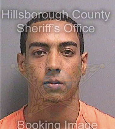 Mallah Vinson - Hillsborough County, FL 