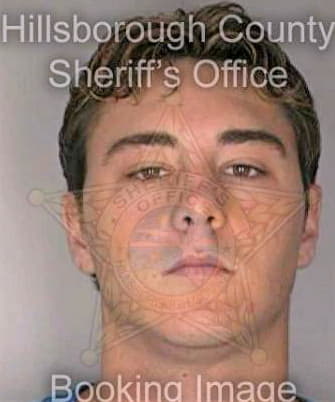 Douglas David - Hillsborough County, FL 