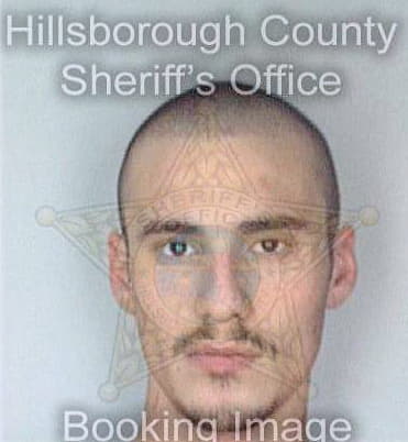 Johns James - Hillsborough County, FL 