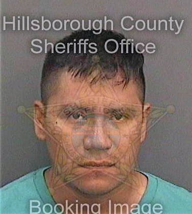 Diaz Marcelino - Hillsborough County, FL 