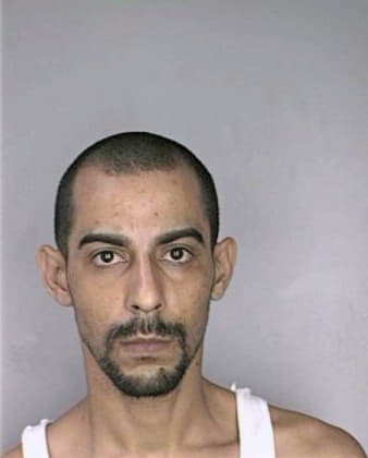 Melendezsantana Jorge - Hillsborough County, FL 